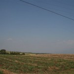 Parcelas de Caña  para Dia de Campo